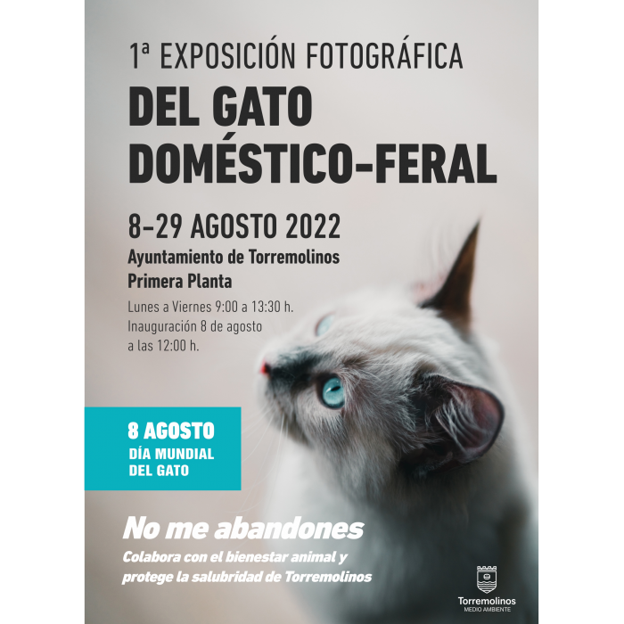 El Ayuntamiento de Torremolinos acoge una exposición fotográfica con motivo del Día Mundial del Gato
