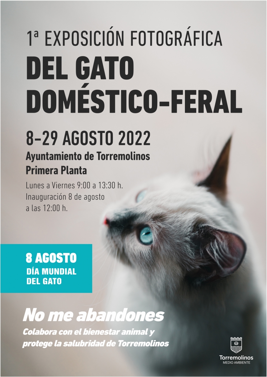 20220808100004_news_361_dia-mundial-del-gato.jpg