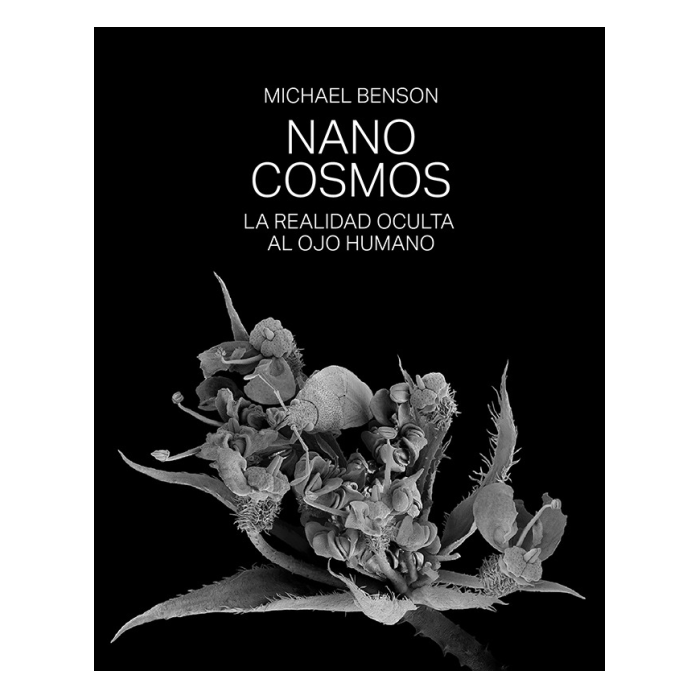 Arte y Ciencia se fusionan en la exposición ‘Nanocosmos’, en la Plaza de la Nogalera