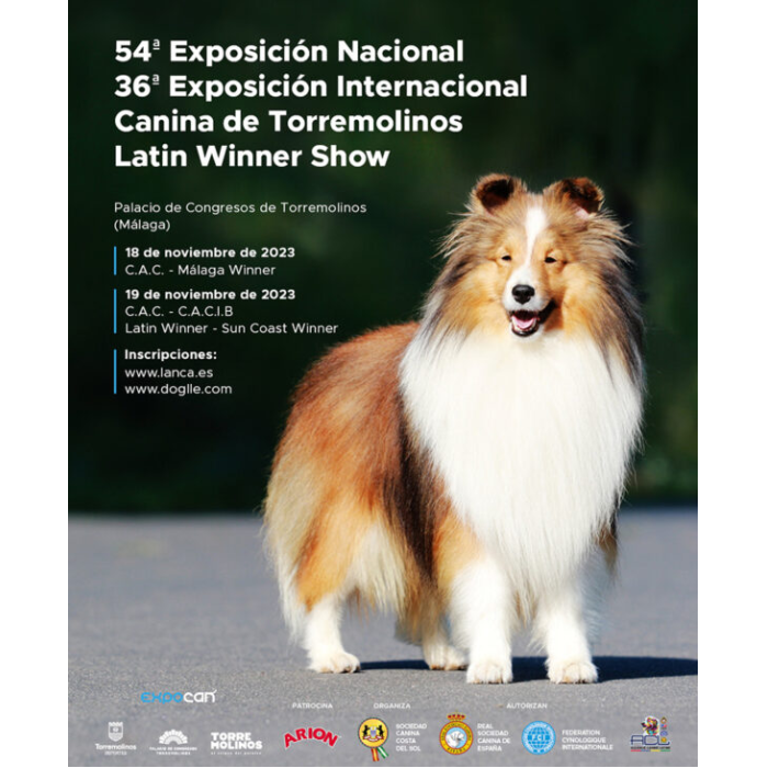 Más de 1.500 perros de 200 razas participan este fin de semana en Torremolinos en Expocan